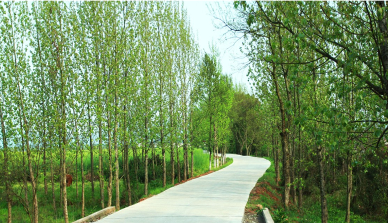 江西信豐縣工業(yè)園科之光路（緯二路）新建大道、產(chǎn)業(yè)大道北段一期工程設(shè)計(jì)、施工總承包（EPC）